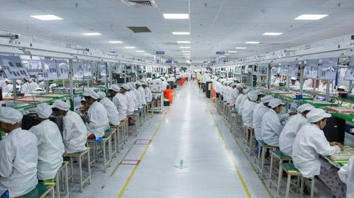 驅逐中國企業(yè)后，印度面臨技術瓶頸與供應鏈危機 西方斷供威脅下的困境與反思